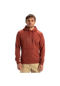 Quiksilver - Bluza z kapturem dla Mężczyzn COMP LOGO Brązowy. Typ kołnierza: kaptur. Kolor: brązowy, wielokolorowy, beżowy. Materiał: materiał, poliester, bawełna