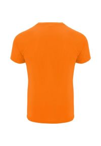 ROLY - Męska Koszulka Sportowa Z Krótkim Rękawem Bahrain. Kolor: pomarańczowy. Długość rękawa: krótki rękaw. Długość: krótkie. Sport: turystyka piesza