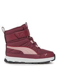 Puma Śniegowce Evolve Boot AC+ PS 392645 04 Bordowy. Kolor: czerwony. Materiał: materiał #1