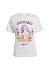 Adidas - Koszulka adidas X FARM Graphic 2. Kolor: szary
