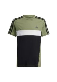 Adidas - Koszulka Tiberio 3-Stripes Colorblock Cotton Kids. Kolor: czarny, zielony, biały, wielokolorowy