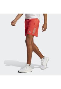 Adidas - Own the Run Shorts. Kolor: czerwony, wielokolorowy, szary. Materiał: materiał. Sport: bieganie