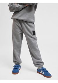 Regulowane spodnie dresowe dla dzieci Hummel Clean. Kolor: szary. Materiał: dresówka. Sport: joga i pilates