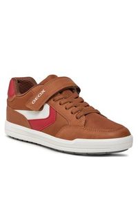 Geox Sneakersy J Arzach Boy J454AA 0FUME C0056 D Brązowy. Kolor: brązowy #3