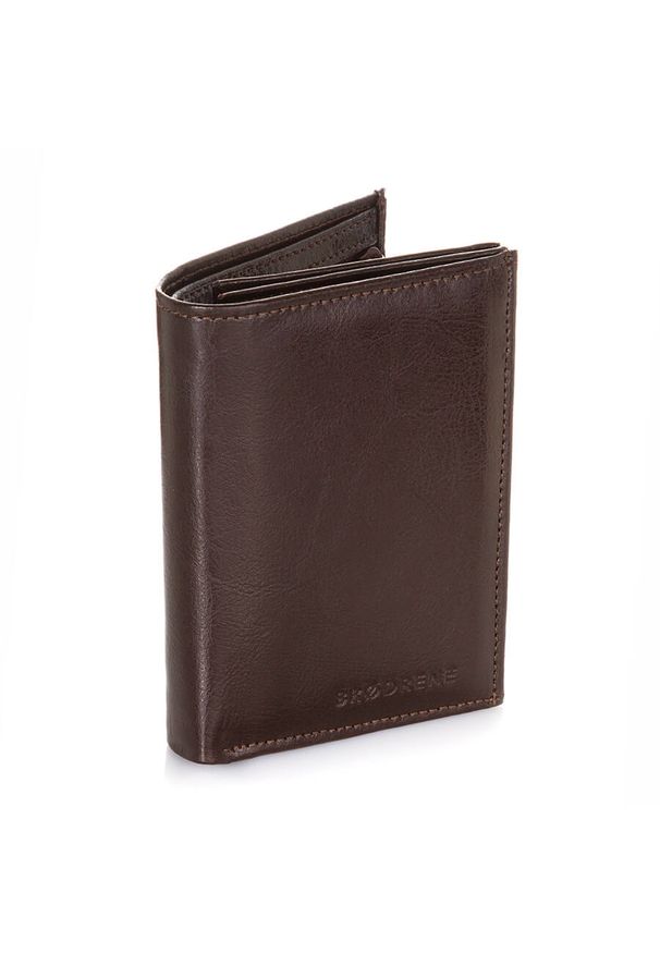 BRODRENE - Skórzany portfel męski Brodrene A-10 brązowy. Kolor: brązowy. Materiał: skóra