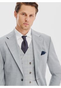 Pako Lorente - PAKO LORENTE - Gładka szara marynarka garniturowa. Okazja: na spotkanie biznesowe. Kolor: szary. Materiał: poliester, wełna. Wzór: gładki. Sezon: jesień. Styl: biznesowy #6