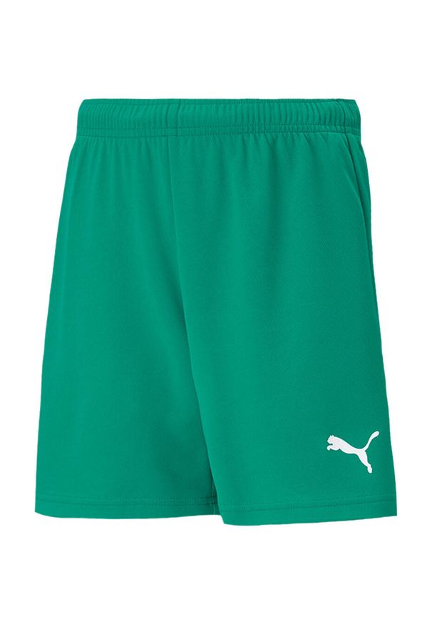 Spodenki piłkarskie dla dzieci Puma teamRISE Short Jr. Kolor: biały, zielony, wielokolorowy