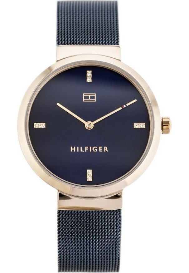 Zegarek TAYMA ZEGAREK DAMSKI TOMMY HILFIGER LIBERTY (zf503c)