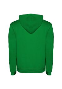 ROLY - Bluza Z Kapturem Dla Dzieci/dzieci Urban Drawstring Hoodie. Typ kołnierza: kaptur. Kolor: zielony, biały, wielokolorowy