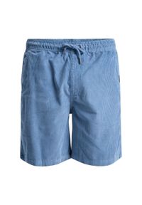 Quiksilver - Szorty z kordu dla Mężczyzn TAXER 18" Niebieski. Kolor: niebieski, szary, wielokolorowy. Materiał: materiał, bawełna. Długość: krótkie. Sezon: lato
