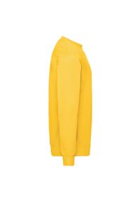 FRUIT OF THE LOOM - Męska Klasyczna Bluza Wkładana Przez Głowę. Kolor: żółty, pomarańczowy, wielokolorowy