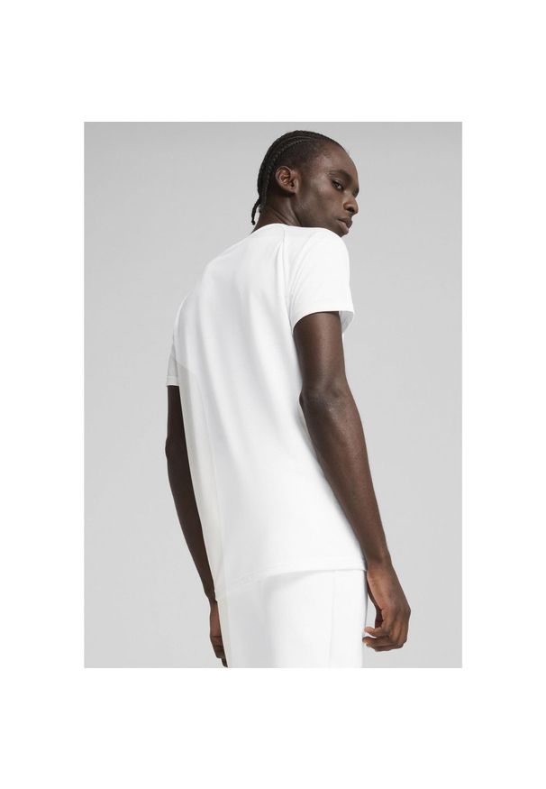 Puma - Męska koszulka EVOSTRIPE PUMA White. Kolor: biały. Długość rękawa: raglanowy rękaw