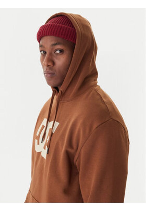 DC Shoes Bluza Star EDYSF03261 Miedziany Regular Fit. Kolor: brązowy. Materiał: bawełna