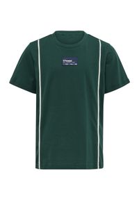 Koszulka dla dzieci Hummel Ditmer. Kolor: wielokolorowy, niebieski, zielony #1