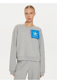 Adidas - adidas Bluza Ksenia IW5666 Szary Loose Fit. Kolor: szary. Materiał: bawełna