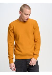 Big-Star - Sweter męski o teksturowym splocie pomaraŅczowy Reyli 703. Kolor: pomarańczowy. Materiał: bawełna. Wzór: ze splotem. Styl: klasyczny