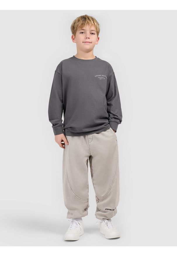 4f - 4F Longsleeve loose z nadrukiem chłopięcy - szary 134 (8-9 lat). Okazja: na uczelnię, na co dzień, na spacer. Kolor: szary. Materiał: bawełna, dzianina. Długość rękawa: długi rękaw. Długość: długie. Wzór: nadruk. Sezon: lato. Styl: casual