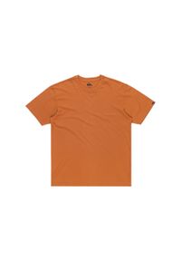Quiksilver - Koszulka z krótkim rękawem dla Mężczyzn SALT WATER Brązowy. Kolor: brązowy. Materiał: materiał, bawełna. Długość rękawa: krótki rękaw. Długość: krótkie