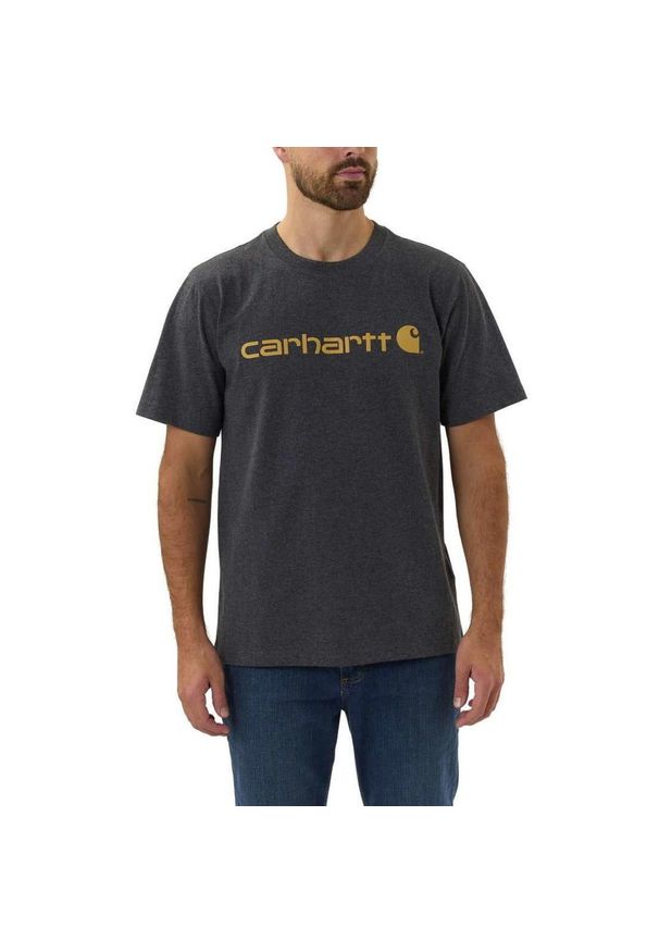 Koszulka turystyczna męska Carhartt Heavyweight Core Logo. Kolor: szary