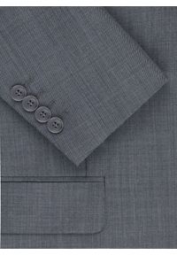 Pako Lorente - PAKO LORENTE – Marynarka garniturowa w kolorze szarym. Okazja: na ślub cywilny, na wesele. Kolor: szary. Materiał: wełna, poliester. Wzór: gładki. Styl: młodzieżowy #4