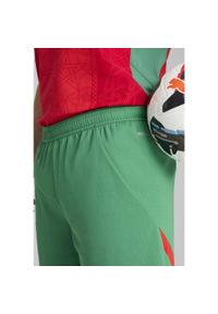 Puma - Męskie szorty Maroko 2025 PUMA Archive Green Red. Kolor: czerwony, wielokolorowy, zielony