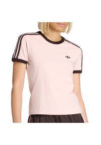Adidas - Koszulka damska adidas Originals 3-Stripes Slim KC9016 - różowa. Kolor: różowy. Materiał: skóra, materiał, bawełna, elastan. Wzór: paski, aplikacja #1