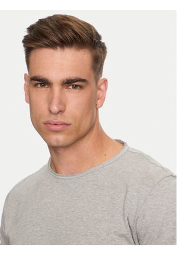 Replay T-Shirt M3590A.000.2660 Szary Regular Fit. Kolor: szary. Materiał: bawełna