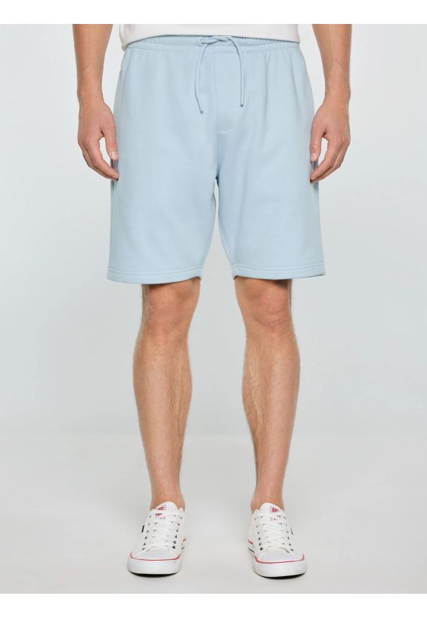 Big-Star - Szorty męskie dresowe jasnoniebieskie Luiss 400. Kolor: niebieski. Materiał: dresówka. Wzór: aplikacja, haft, ze splotem. Sezon: lato. Styl: wakacyjny, elegancki