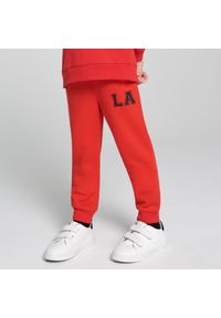 Sinsay - Spodnie dresowe jogger - Czerwony. Kolor: czerwony. Materiał: dresówka #1