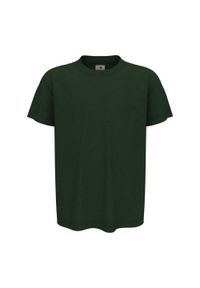 Stedman - Koszulka Dziecięca Klasyczna. Kolor: zielony. Sport: turystyka piesza #1