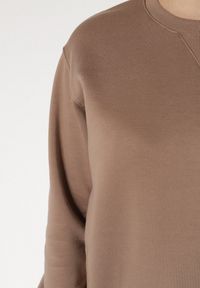 Born2be - Ciemnobeżowa Bluza z Bawełną Ozdobiona Przeszyciami Fezoria. Okazja: na co dzień. Kolor: beżowy. Materiał: bawełna. Wzór: aplikacja. Styl: casual, klasyczny #3