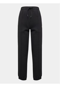 Dickies Spodnie dresowe Mapleton DK0A4XLT Czarny Regular Fit. Kolor: czarny. Materiał: syntetyk