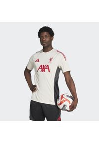 Adidas - Koszulka Liverpool FC Tiro 25 Competition Training. Kolor: biały. Sport: piłka nożna #1