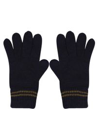 Regatta - Męskie Rękawiczki Balton III. Kolor: niebieski. Sport: turystyka piesza #1