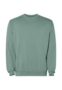 ROLY - Bluza Unisex Dla Dorosłych Jaya Z Okrągłym Dekoltem. Kolor: zielony
