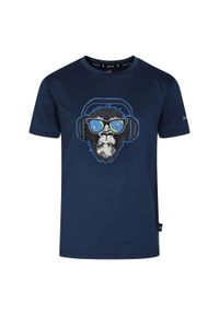 DARE 2B - Koszulka Dziecięca Amuse II Monkey. Kolor: szary, niebieski, wielokolorowy. Sport: turystyka piesza #1