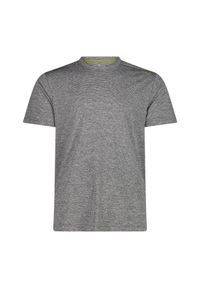 Koszulka CMP. Kolor: szary, wielokolorowy, zielony. Sezon: lato. Sport: turystyka piesza #1