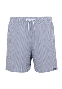 Regatta - Męskie Spodenki Kąpielowe Loras Stripe Seersucker. Kolor: niebieski