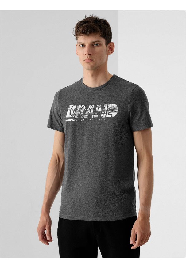 4f - T-shirt regular z nadrukiem męski. Kolor: szary. Materiał: dzianina, bawełna. Wzór: nadruk
