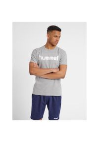 Koszulka sportowa z krótkim rękawem męska Hummel Cotton Logo. Kolor: szary. Długość rękawa: krótki rękaw. Długość: krótkie