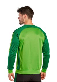 ERIMA - Bluza Erima Six Wings. Kolor: zielony