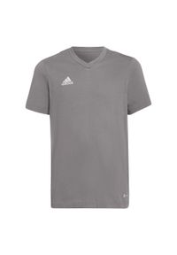 Adidas - Koszulka dla dzieci adidas Entrada 22 Tee. Kolor: szary
