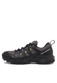 salomon - Salomon Trekkingi X Braze GORE-TEX L47180500 Szary. Kolor: szary. Technologia: Gore-Tex. Sport: turystyka piesza #6