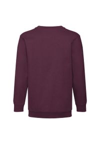 FRUIT OF THE LOOM - Bluza Dziecięca Premium W Komplecie. Kolor: czerwony, wielokolorowy, brązowy