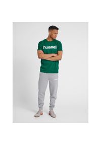 Koszulka sportowa z krótkim rękawem męska Hummel Cotton Logo. Kolor: wielokolorowy, zielony, biały. Długość rękawa: krótki rękaw. Długość: krótkie