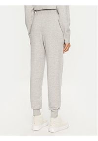 Replay - REPLAY Spodnie dresowe DK3302.000.G23372 Szary Regular Fit. Kolor: szary. Materiał: wiskoza, syntetyk