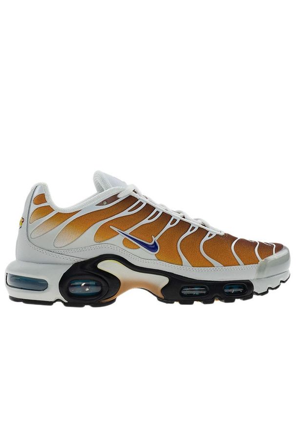 Buty męskie Nike Air Max Plus FZ3308-700 - multikolor. Kolor: wielokolorowy. Materiał: materiał, syntetyk, guma. Szerokość cholewki: normalna. Sezon: lato. Model: Nike Air Max
