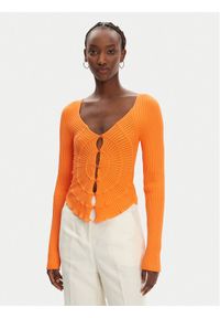 Pinko - PINKO Kardigan Vergina 104627 A2E6 Pomarańczowy Slim Fit. Kolor: pomarańczowy. Materiał: syntetyk