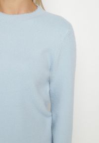 Born2be - Niebieski Sweter z Wełną w Klasycznym Stylu Firrive. Okazja: na co dzień. Kolor: niebieski. Materiał: wełna. Styl: klasyczny #4