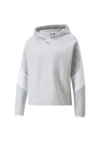 Bluza damska Puma Evostripe. Kolor: szary. Sezon: zima, jesień. Sport: fitness #1